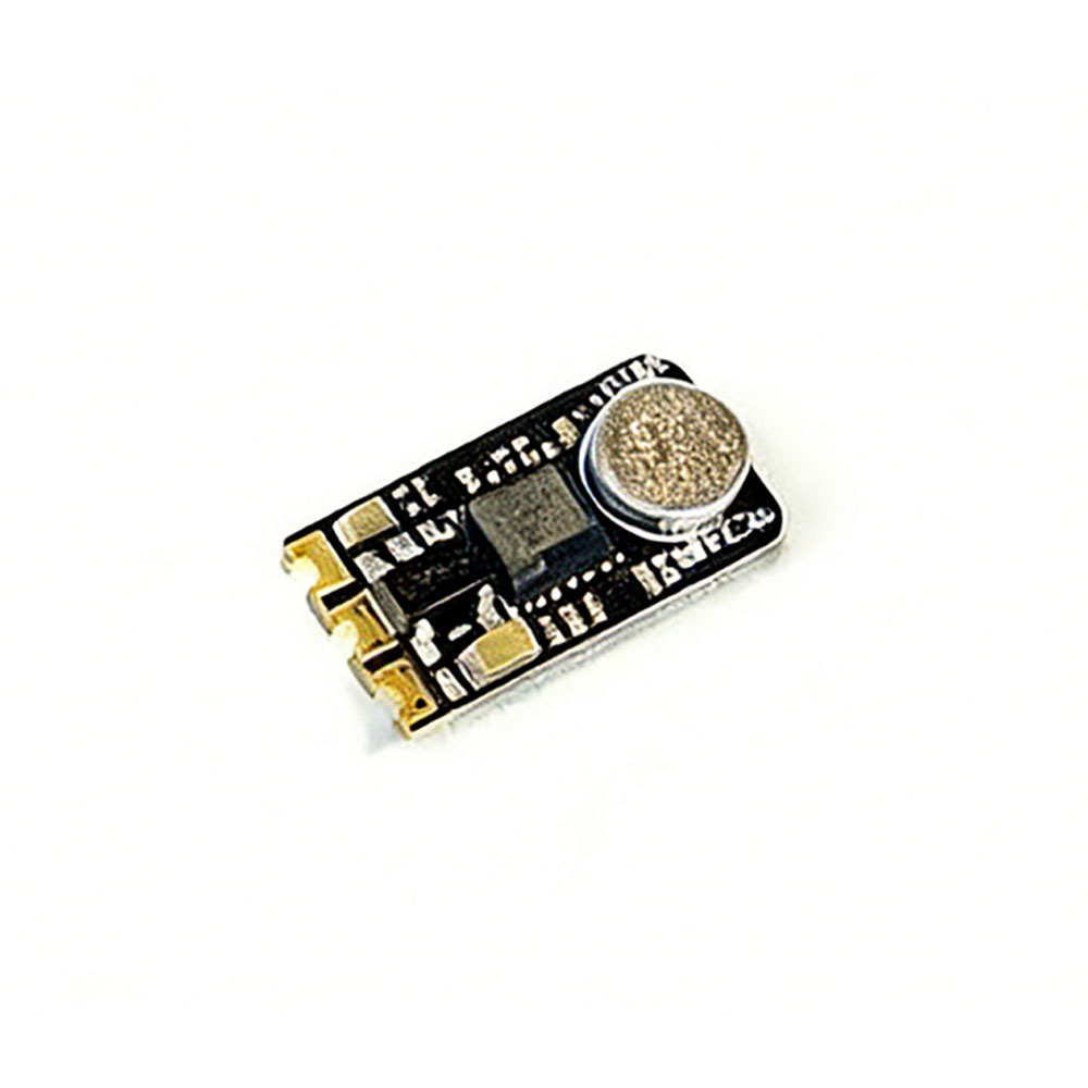 RUSH AGC 5V DC MIC Microfoon V - Top Rc Hobby Mini Xcub recensie en prijs